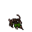 pirat scoundrel